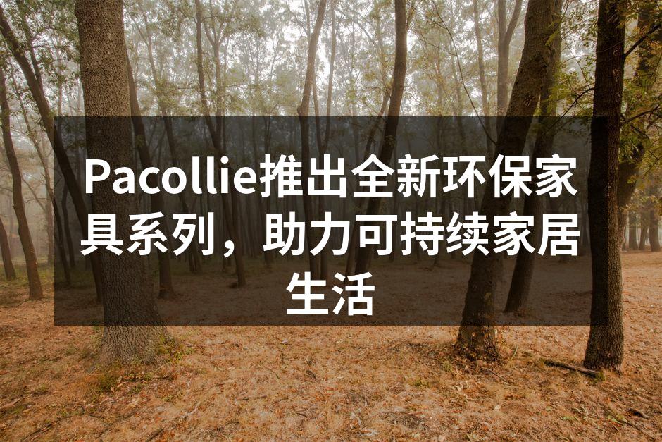 新款环保家具样式展示